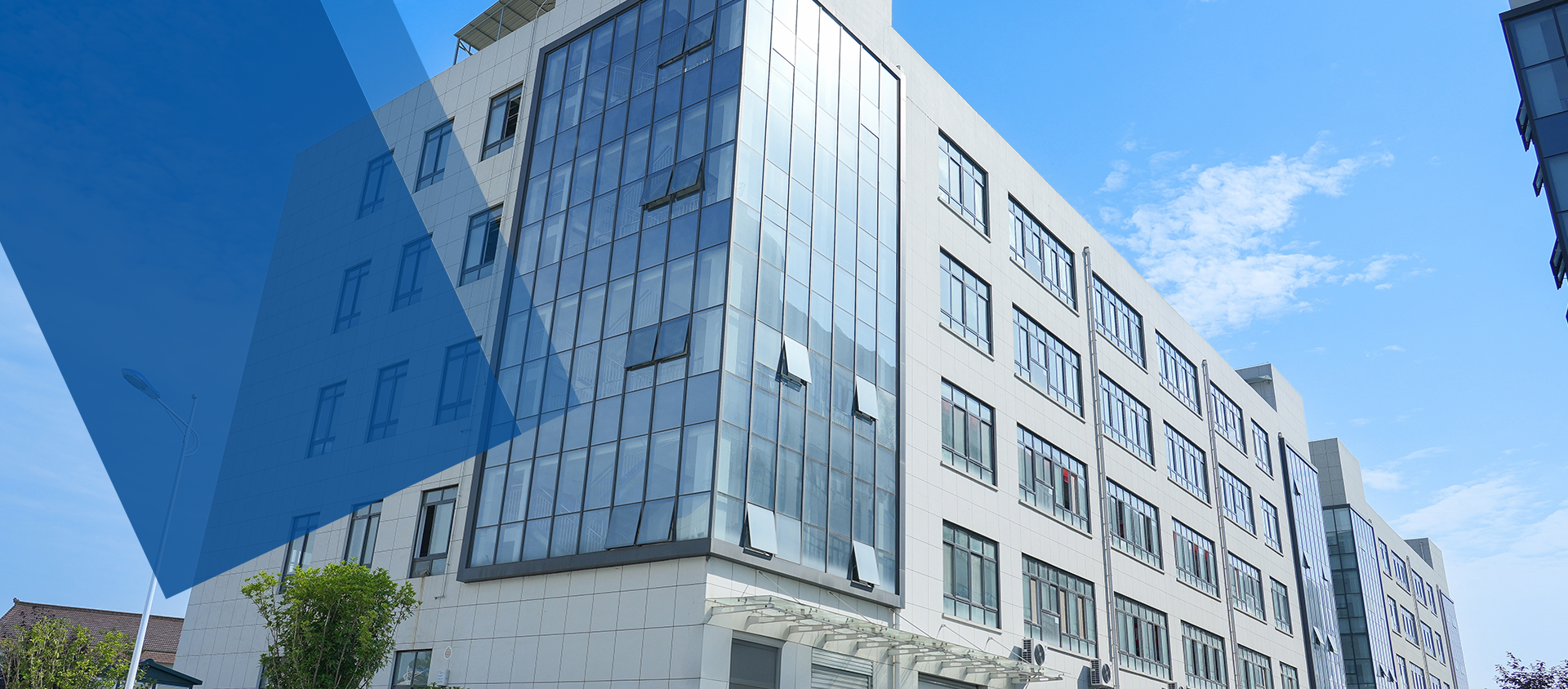 Company Profile