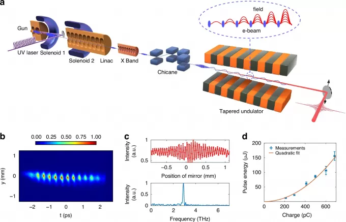 Significant Progress Made by Chinese Research Team in Accelerator-Based Terahertz Light Source Field