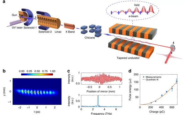 Significant Progress Made by Chinese Research Team in Accelerator-Based Terahertz Light Source Field